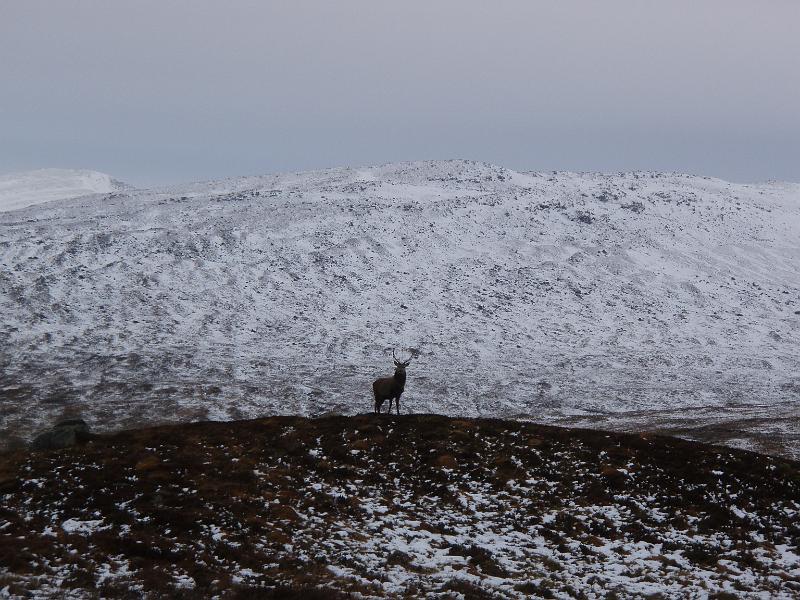 25th Dec 15 (33).JPG